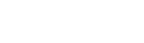 endesa endesa