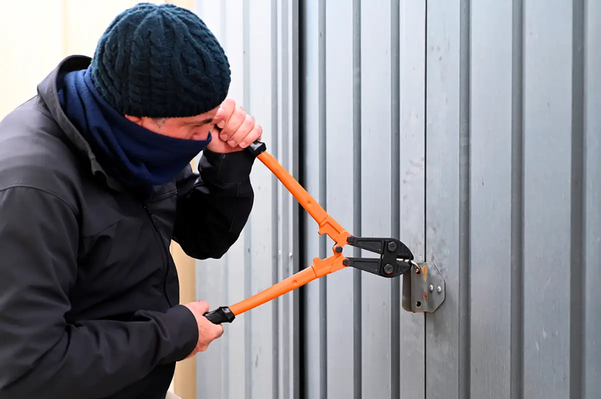 10 consejos para evitar robos en tu garaje